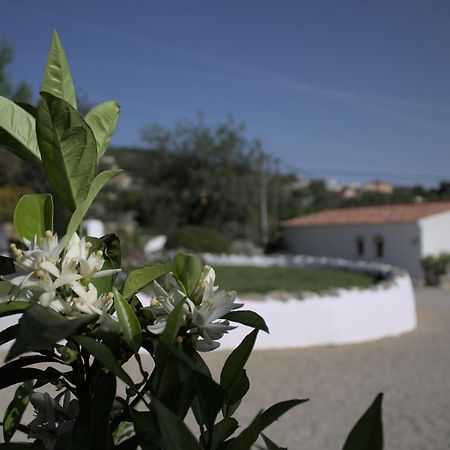 לואה Suite Swimming Pool Quinta Da Eira 140 Years Old מראה חיצוני תמונה