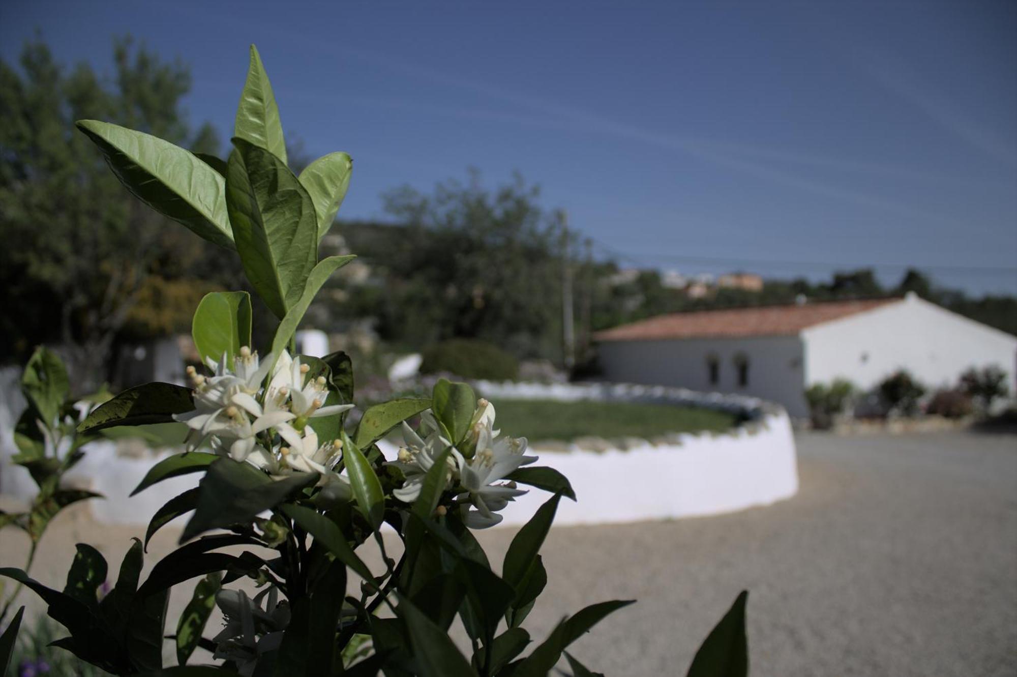 לואה Suite Swimming Pool Quinta Da Eira 140 Years Old מראה חיצוני תמונה